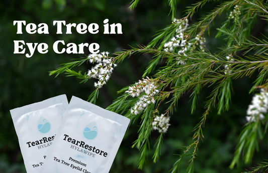 Tea Tree and Eye Hygiene: Why It's Become a Popular Ingredient in Eyelid Care